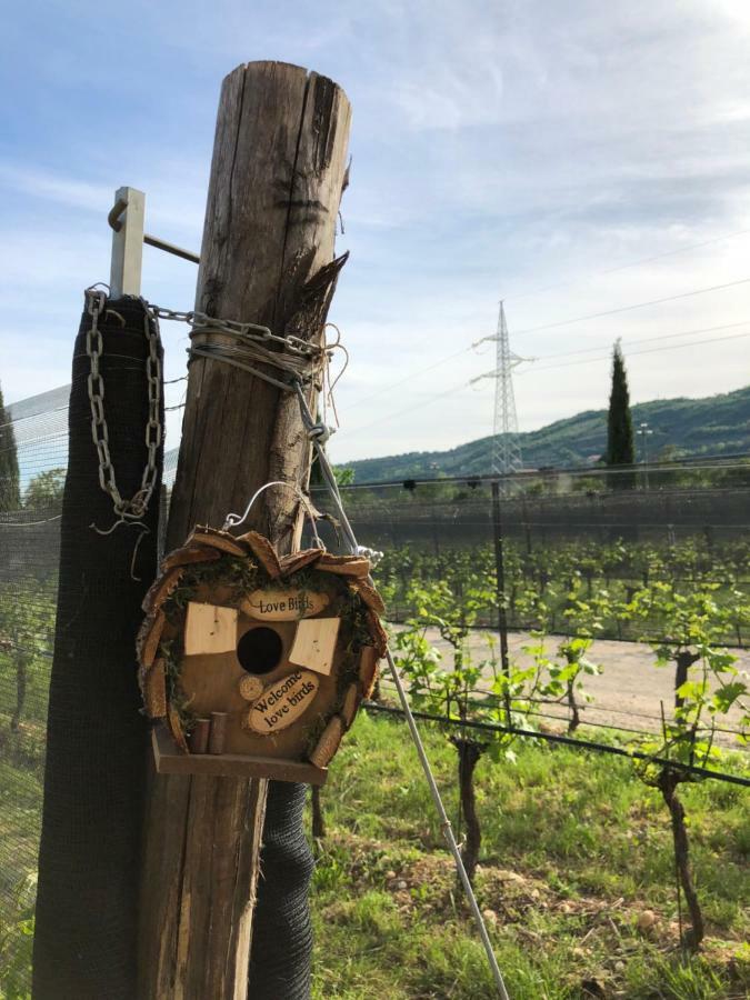 Maso Maroni Agriturismo Quinto di Valpantena Kültér fotó