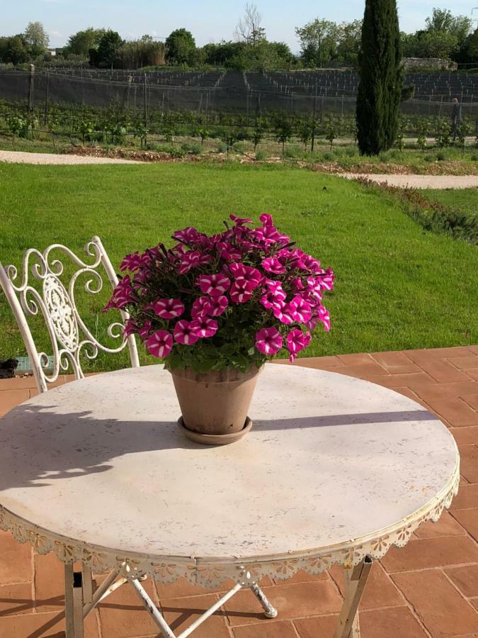 Maso Maroni Agriturismo Quinto di Valpantena Kültér fotó