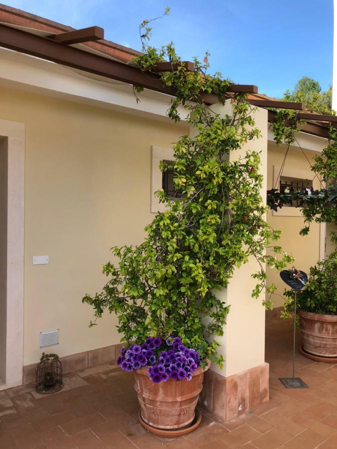 Maso Maroni Agriturismo Quinto di Valpantena Kültér fotó