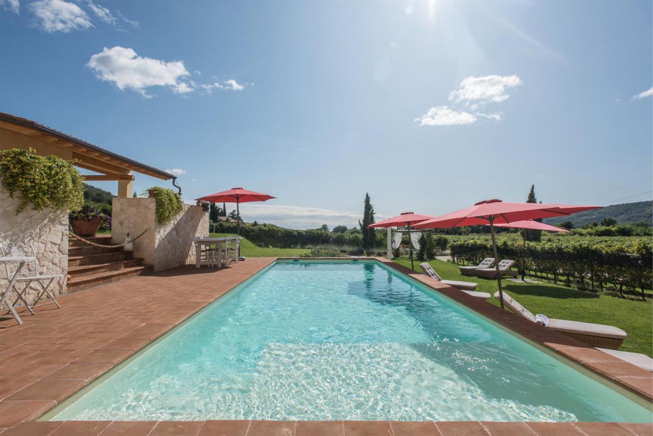 Maso Maroni Agriturismo Quinto di Valpantena Kültér fotó