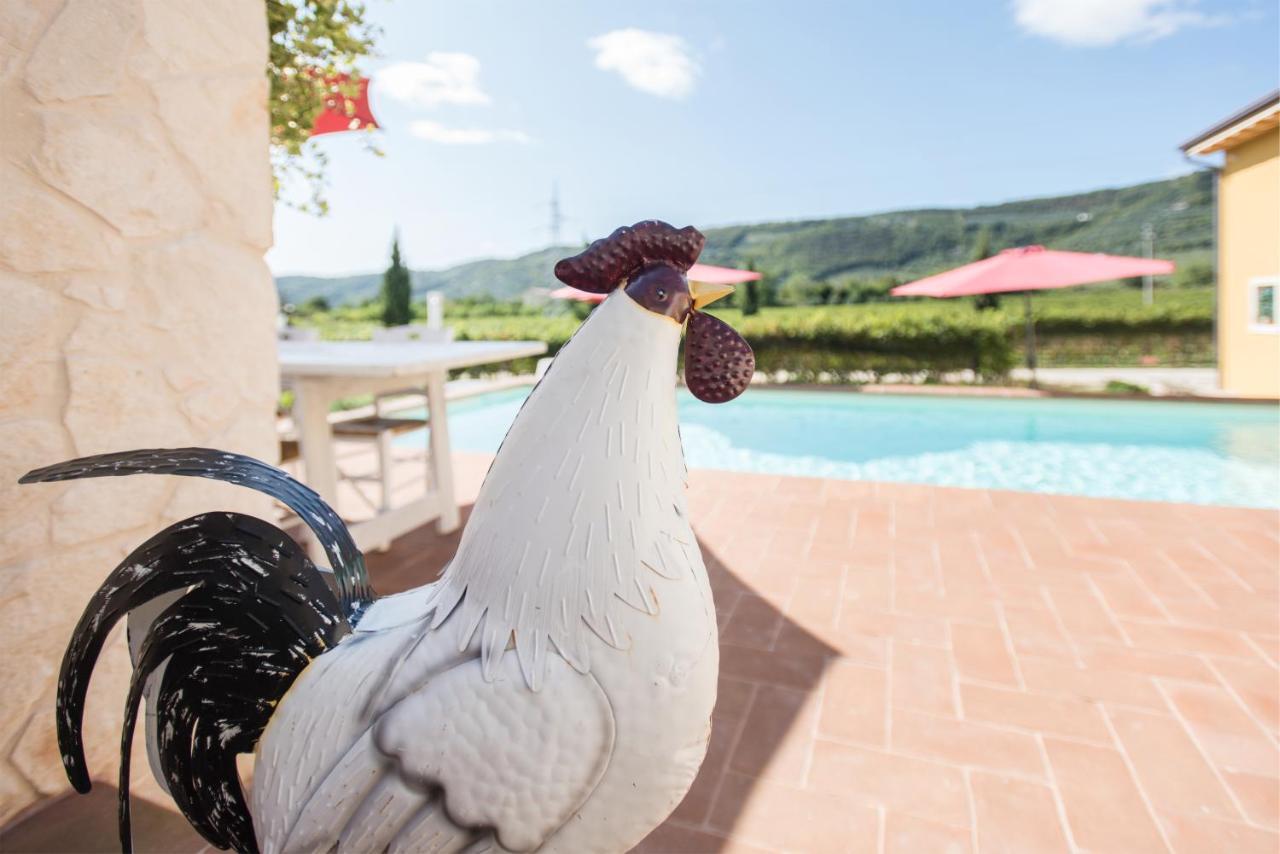 Maso Maroni Agriturismo Quinto di Valpantena Kültér fotó