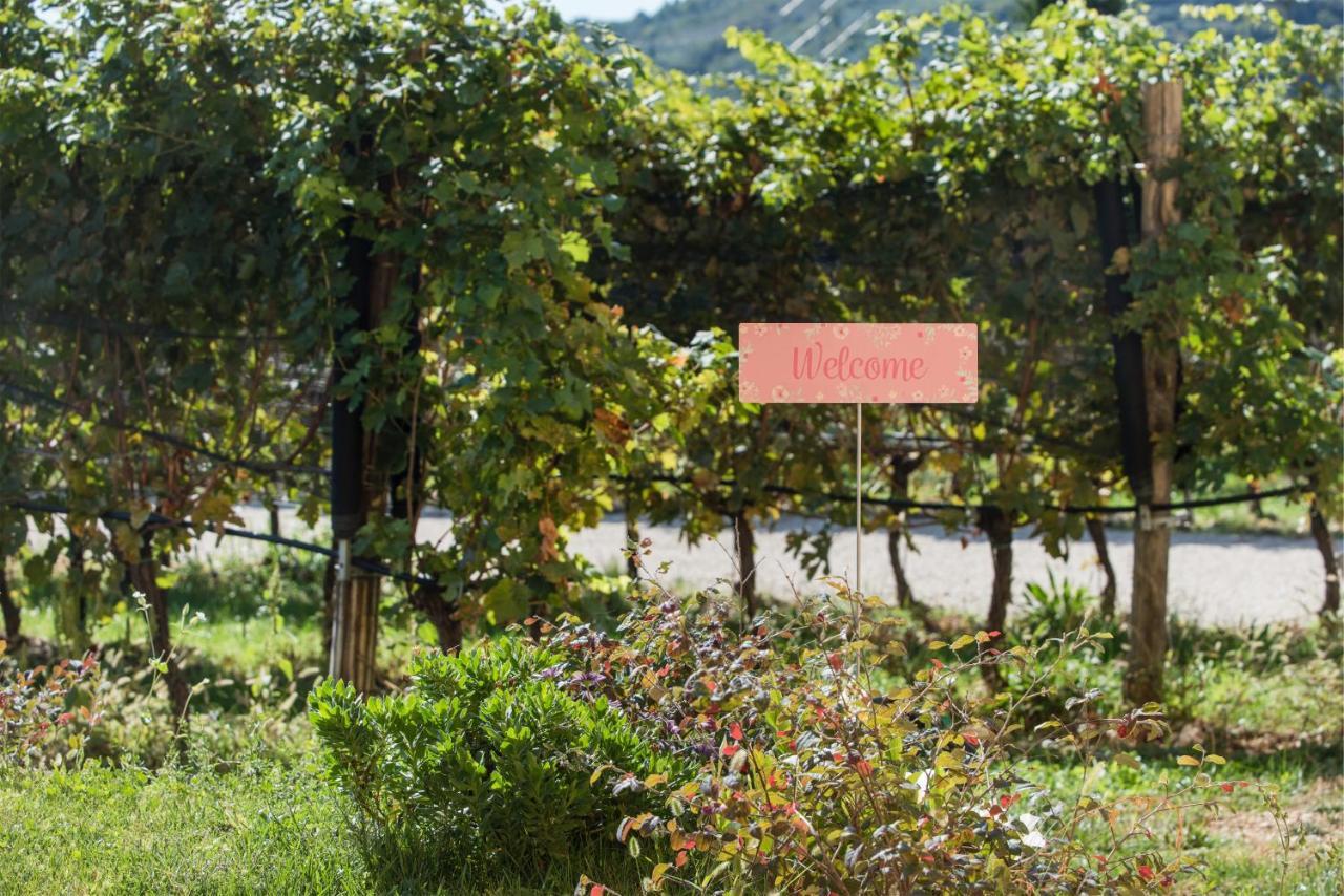 Maso Maroni Agriturismo Quinto di Valpantena Kültér fotó